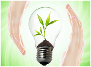 http://winvivo.com/files/botanicals/buddha%20fruit%20-%20momordica%20grosvenori%20-%20image.png